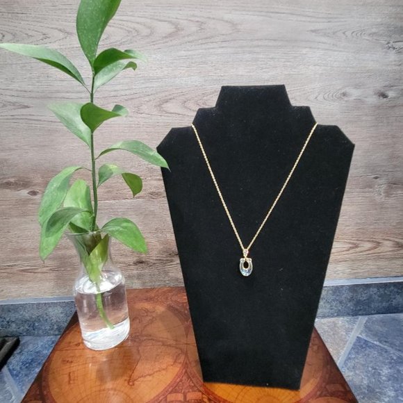 Coach Crystal Signature Pave Necklace - Picture 3 of 4